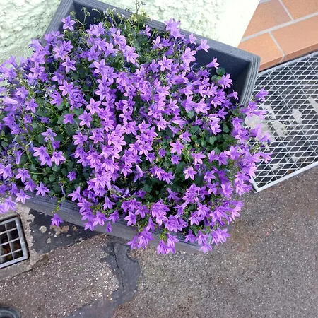 아파트 Am Kocher-jagst Radweg *