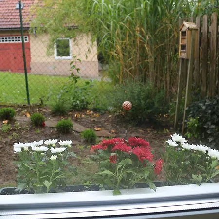 Am Kocher-jagst Radweg 노이엔슈타트 암 코허